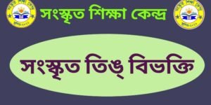 সংস্কৃত তিঙ্ বিভক্তি