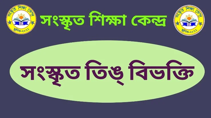 সংস্কৃত তিঙ্ বিভক্তি