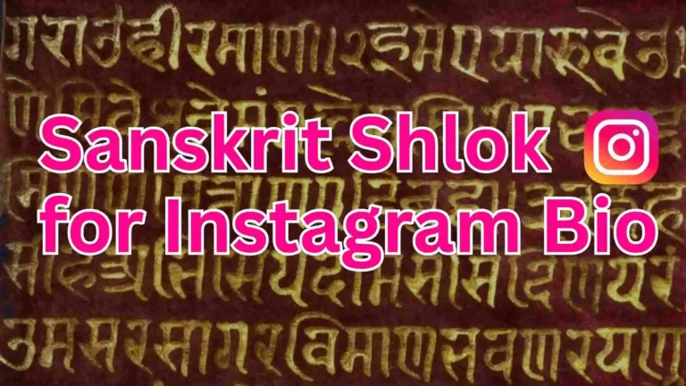 Sanskrit Shlok for Instagram Bio